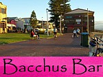 Bacchus
